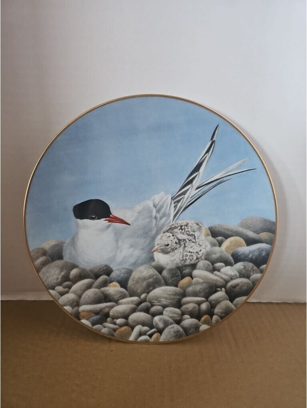 The Waterbird Plates 'Tern' by The Danbury Mint